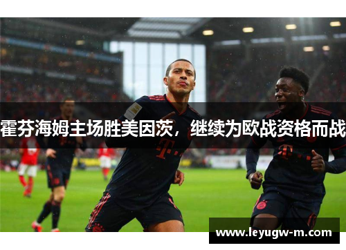 霍芬海姆主场胜美因茨，继续为欧战资格而战