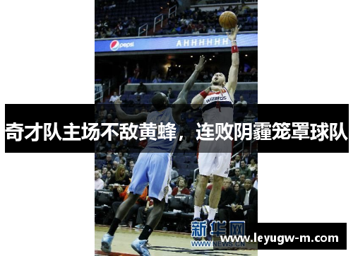 奇才队主场不敌黄蜂，连败阴霾笼罩球队