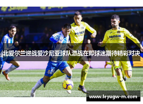 北爱尔兰迎战爱沙尼亚球队激战在即球迷期待精彩对决