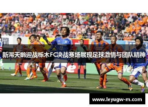 新泻天鹅迎战栎木FC决战赛场展现足球激情与团队精神