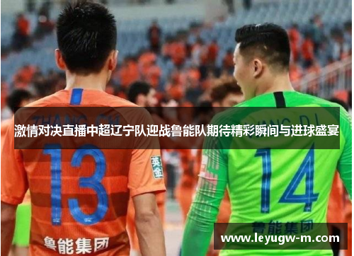 激情对决直播中超辽宁队迎战鲁能队期待精彩瞬间与进球盛宴