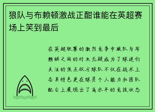 狼队与布赖顿激战正酣谁能在英超赛场上笑到最后